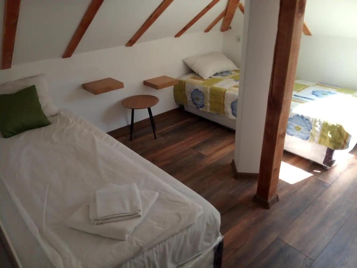 Entire Central House With Guest Rooms & Garden Sofia Bagian luar foto